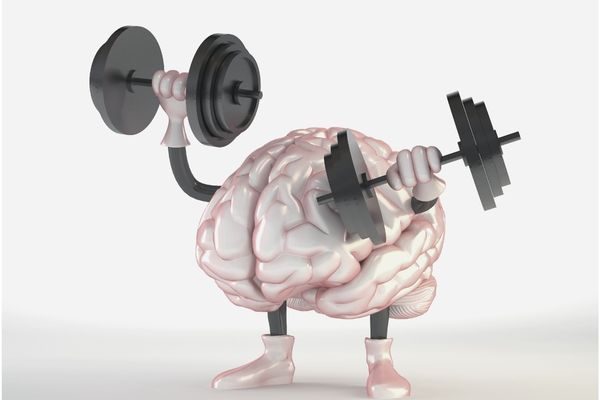 Cerebro entrenando
